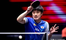 开云体育入口-关于法国队完胜日本队，张本智和惊艳四座的信息