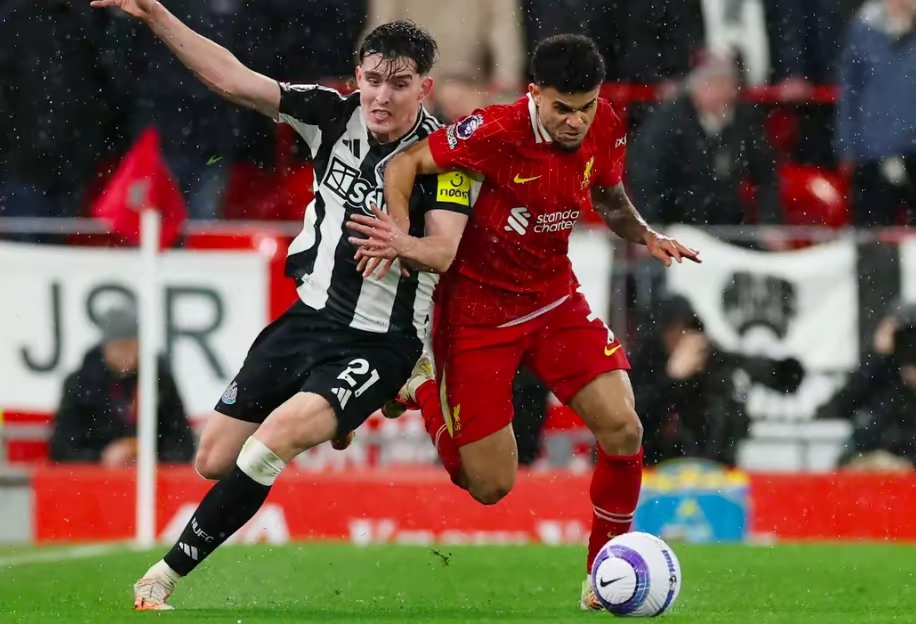 纽伦堡主场小胜霍芬海姆,保级前景一片光明的简单介绍 纽伦堡主场小胜霍芬海姆,保级前景一片光明的简单介绍