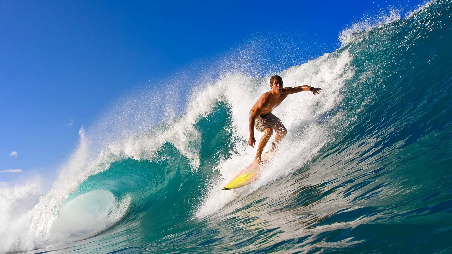 从步行者到世界杯，辽宁启示录与切特的2026接管预言