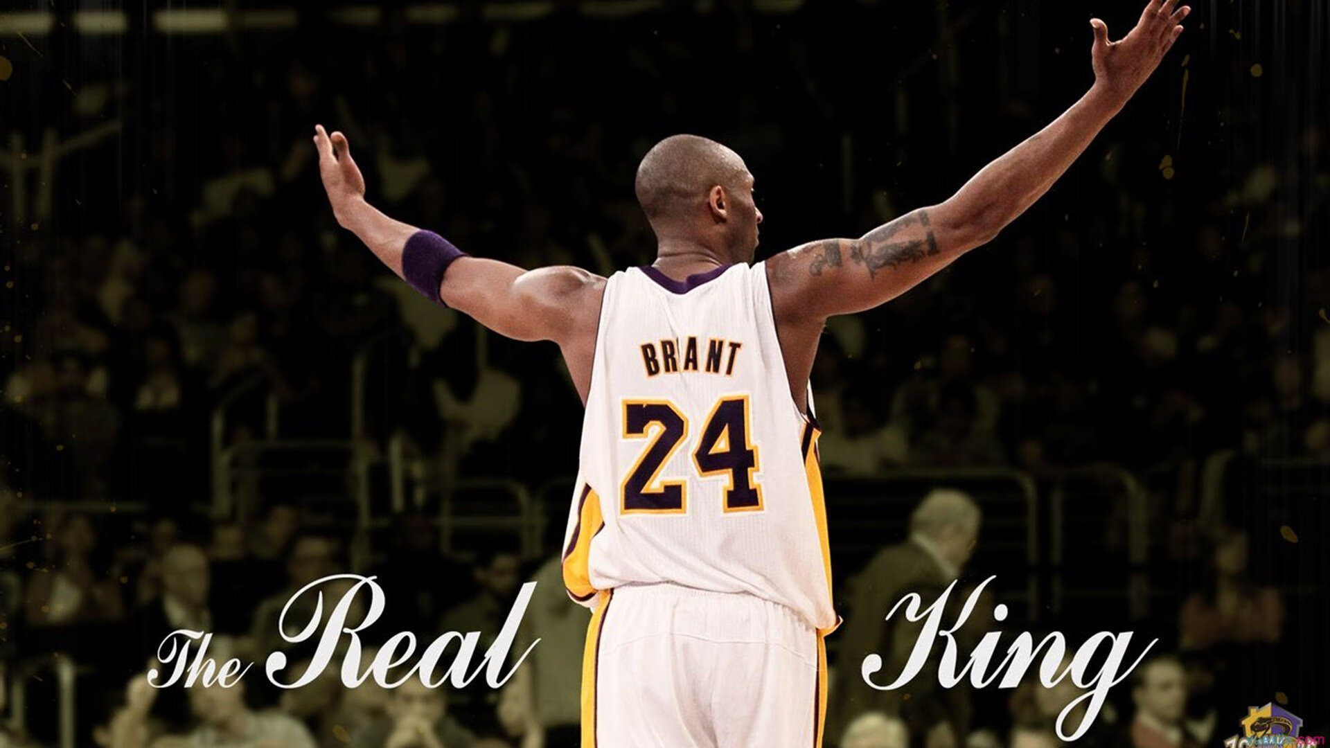 无解克莱与开拓者铁壁—山西队遭遇战术与意志的双重击溃